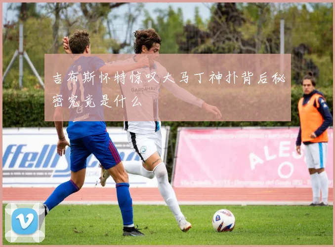 吉布斯怀特惊叹大马丁神扑背后秘密究竟是什么