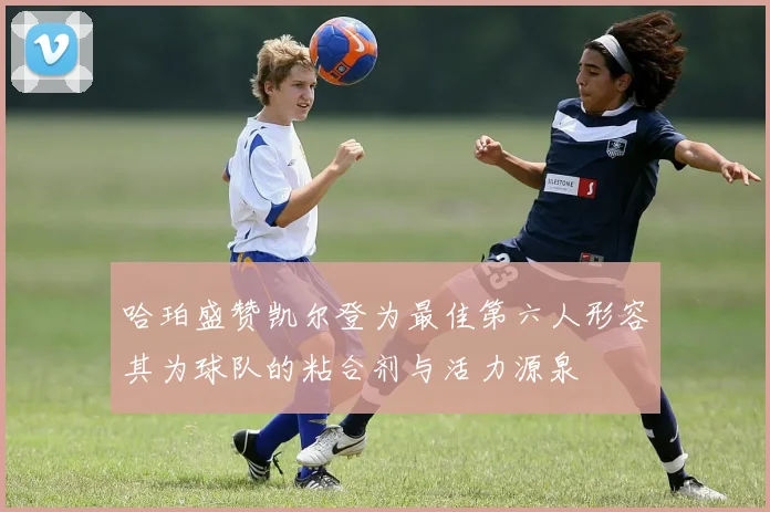 哈珀盛赞凯尔登为最佳第六人形容其为球队的粘合剂与活力源泉